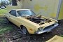 1974 Dodge Challenger Rallye Left to Rot in a Yard Is All Original, Numbers Match