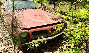 1974 Pontiac Firebird Is a Great Yard Find, Sitting in Nature for Over Two Decades