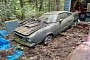 1976 Ford Mustang Cobra II Has a Hard Time Dealing With Nature, Mysterious Find