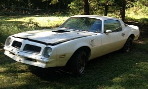 1976 Pontiac Firebird Trans Am Rotting Away in a Yard Won’t Give Up Without a Fight