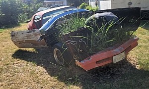1976 Pontiac Trans Am Rotting Away in a Yard Is Literally a Flower Pot