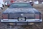 1977 Dodge Charger Barn Find Flexes 400 V8 Muscle, Has Been Asleep for 16 Years