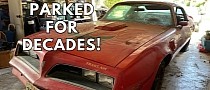 1977 Pontiac Trans Am Wakes Up From 30-Year Sleep, One Owner, Complete, and Original