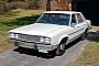 1978 Ford Fairmont Emerges With the Perfect Package: Barn Find, Original, Survivor