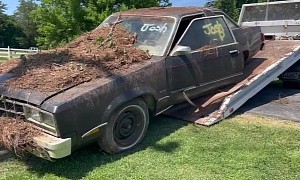 1978 Ford Fairmont Futura Went To Die in the Forest, Got Saved From the Crusher Instead