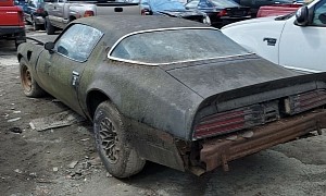 1978 Pontiac Trans Am Left to Rot on Private Property Deserves a Better Fate