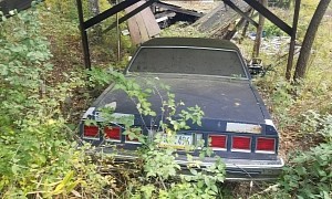 1984 Chevrolet Caprice Barn Find Looks Dirty and Dusty and Ready to Roll