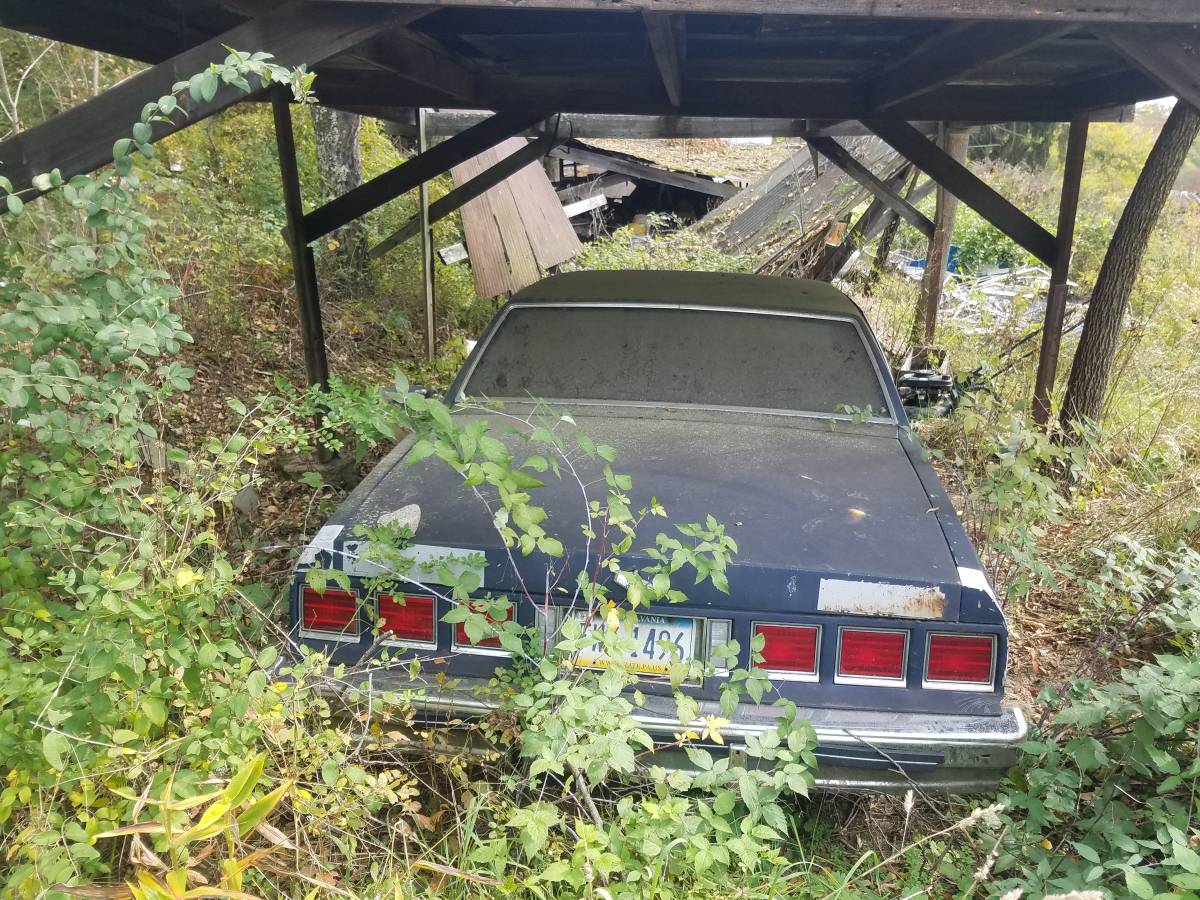 Forhandle Landbrug nyt år 1984 Chevrolet Caprice Barn Find Looks Dirty and Dusty and Ready to Roll -  autoevolution