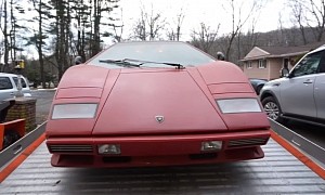 1985 Lamborghini Countach Gets Its First Wash in 20 Years, It Is Disgusting