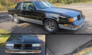 1987 Oldsmobile 442 in Excellent Condition Packs Super Rare and Forgotten Option