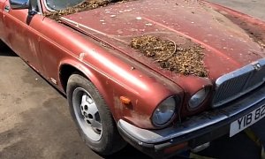1989 Jaguar XJ12 Barn Find Gets the Bath It’s Been Waiting for So Long