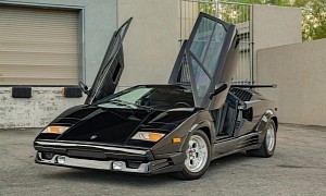 1989 Lamborghini Countach 25th Anniversary Edition Wants To Make a New Owner Happy