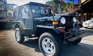 1994 Mitsubishi Jeep Could Be on the Next Boat to New York, More Quirky Than the Real Jeep
