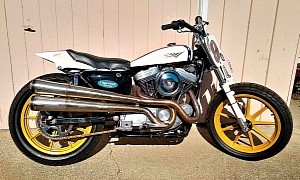 1995 Harley-Davidson XL Was a Hooligan Class Racer, Can Be Made Road Legal Again