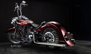 1996 Harley-Davidson DS Gride Is a Unique Custom, Someone’s Very Ornate Ride