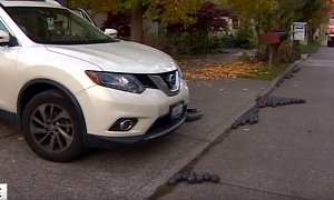 2-Pound Metal Balls Roll Down Seattle Street, Damage 6 Cars