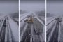 20 Car Pileup on Snowy Canadian Highway Involving a Semi Is Truly Scary