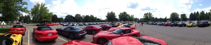 200 Vipers in One Photo