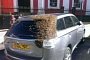 20,000 Bees Swarm an Elderly Woman's Car That Drove off with Their Queen