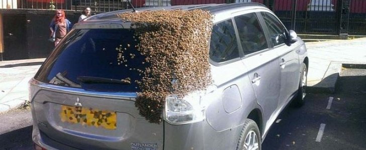 Mitsubishi Outlander swarmed by bees