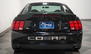 2003 Ford Mustang Cobra Has More Power Than a Shelby GT500, Is a Real Juggernaut