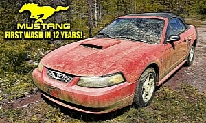 2003 Mustang Convertible Spent Over Half Its Life Abandoned, Gets First Wash in 12 Years