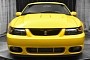 2004 Ford Mustang Is a Rare SVT Cobra Collectible, Priced Like a 2021 Model