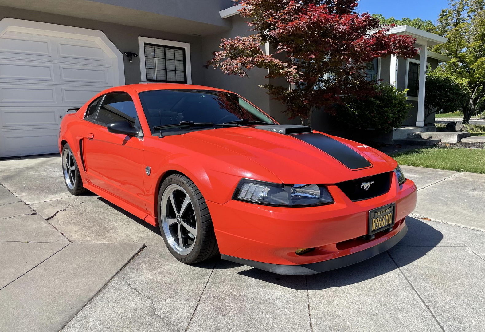 2004 Ford Mustang Mach Production Numbers Mustang Specs, 53% OFF