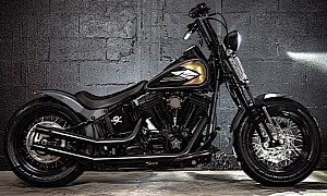 2009 Harley-Davidson Cross Bones Is the Ultimate Visual Pirate, Nod to Bike From Long Ago