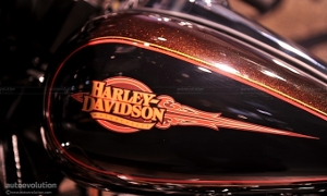 2011 Summer Special Exhibit Planned at H-D Museum