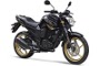2011 Yamaha FZ Midnight Special Series Launched