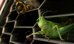 2012 Chevy Sonic (Aveo) Super Bowl Commercial: Bugs on Grill
