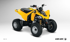 2013 Can-Am DS 250, an Entry-Level Sport ATV