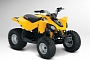 2013 Can-Am DS 90, Your Kid's Favorite Toy