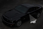 2013 Ford Mustang Logo Projector Is Here
