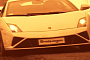 2013 Gallardo Plays in the Mud and Snow: Beef and Horses