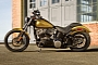 2013 Harley-Davidson Blackline, Chopper Aggression