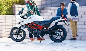 2013 Honda VTR-F250 Is a Japan-Only Treat