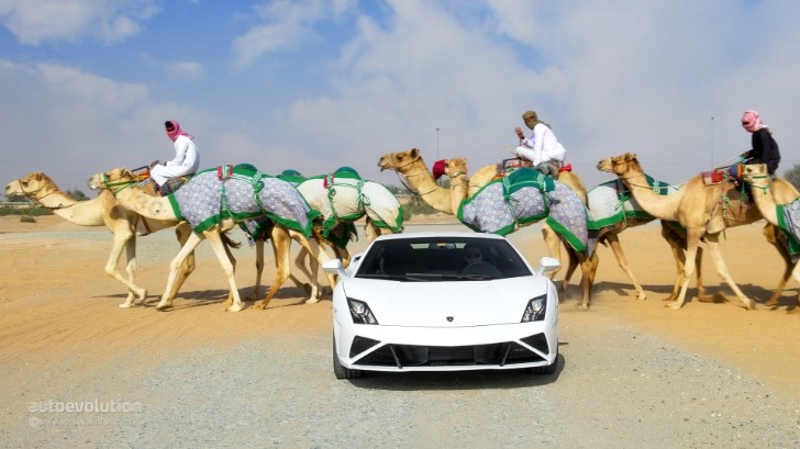2013 Lamborghini Gallardo LP560-4 in the desert