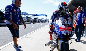 2013 MotoGP: Lorenzo Hits Seagull, Clinches Pole, Breaks Record