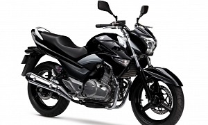 2013 Suzuki GW250, a Light, Naked Bike for the US