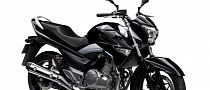 2013 Suzuki GW250, a Light, Naked Bike for the US