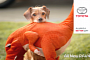 2013 Toyota RAV4 Gets Cute Doggies Commercial