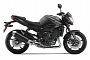 2013 Yamaha FZ8, the All-rounder Excellence