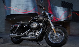 2014 Harley-Davidson Sportster 1200 Custom Pictures Galore