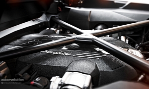 2014 Lamborghini Aventador Roadster V12 Heart Exposed