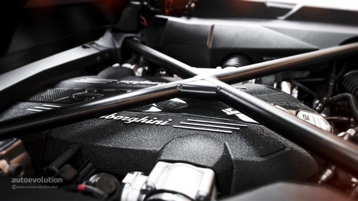 2014 Lamborghini Aventador Roadster V12 engine