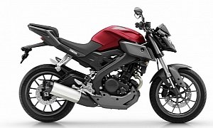 2014 Yamaha MT-125 Shows How Cool Small Bikes Can Be