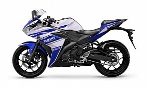 2014 Yamaha YZF-R25 Unveiled, Finally