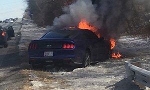 2015 Ford Mustang Burns to a Crisp, Had Only 6k Miles on the Clock